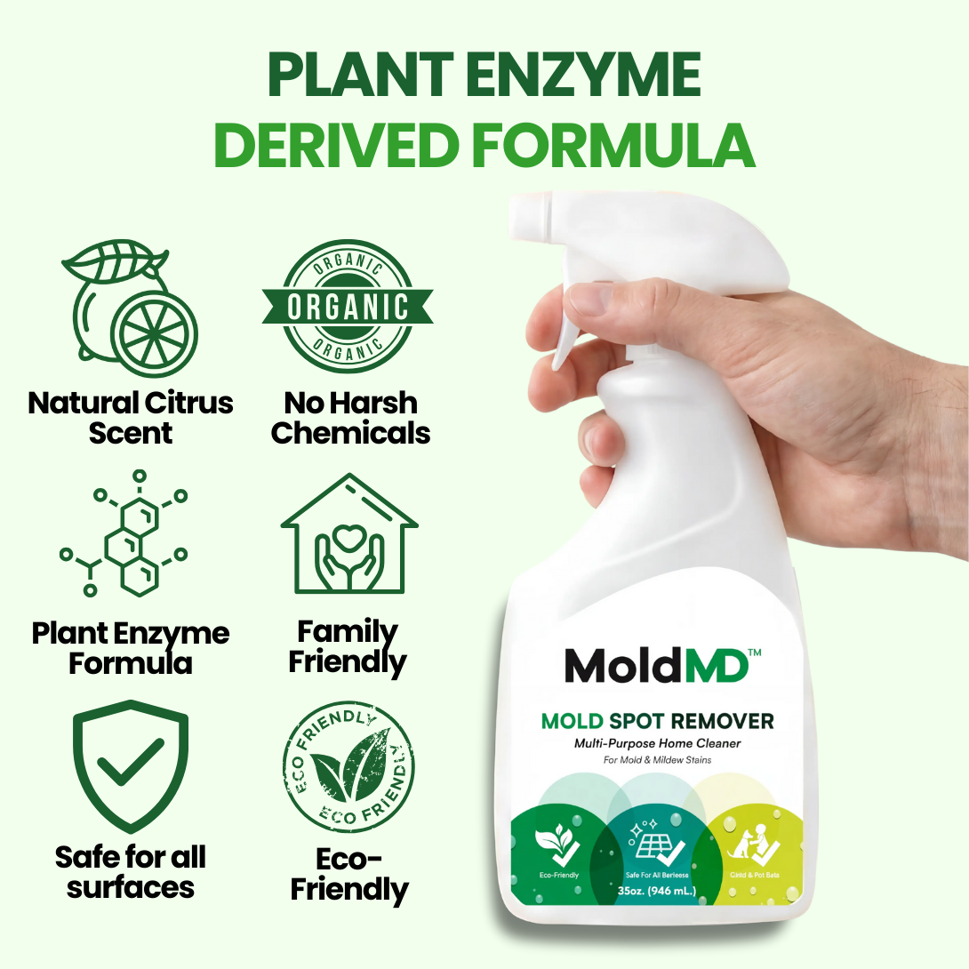 MoldMD Essential Mold Control Concentrate