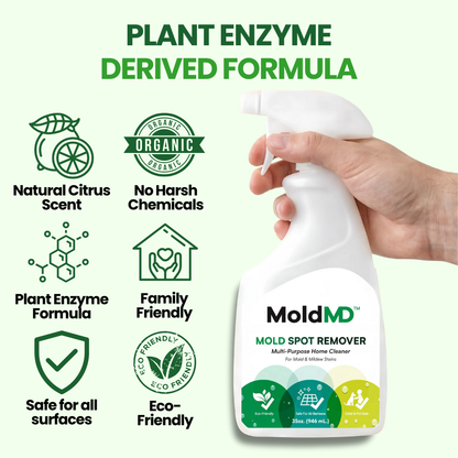 MoldMD Essential Mold Control Concentrate