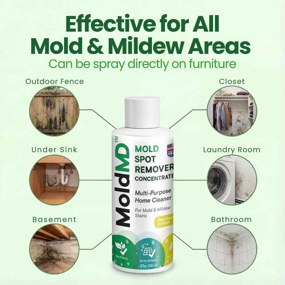 MoldMD Essential Mold Control Concentrate