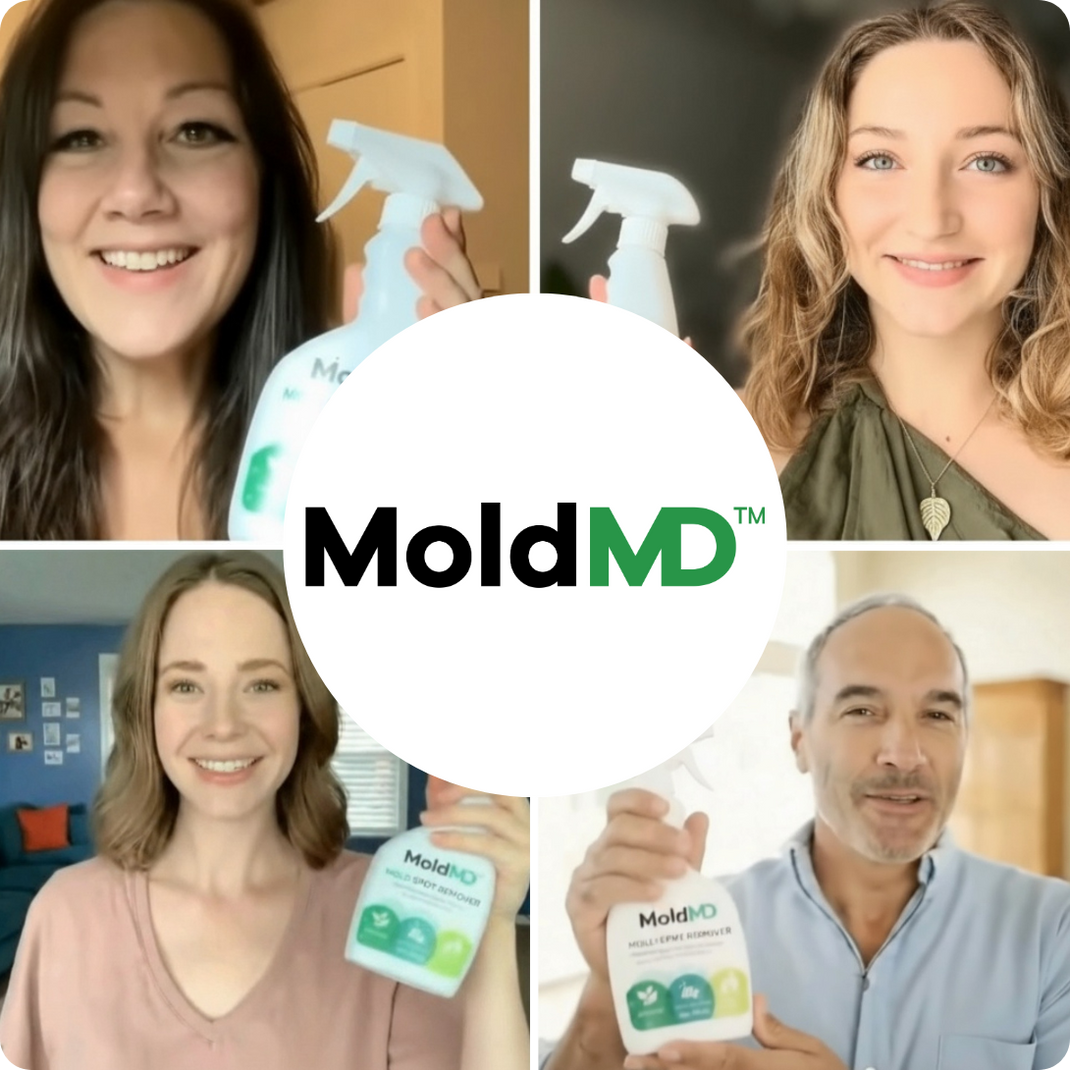 MoldMD