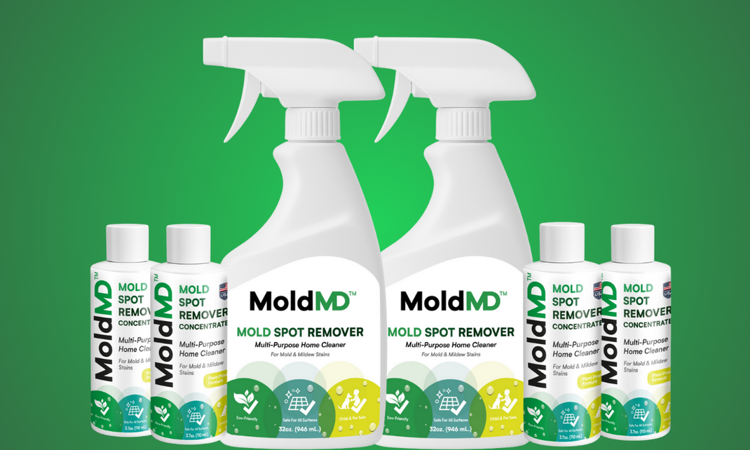 MoldMD