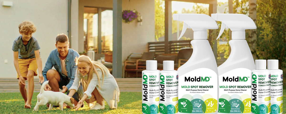 MoldMD