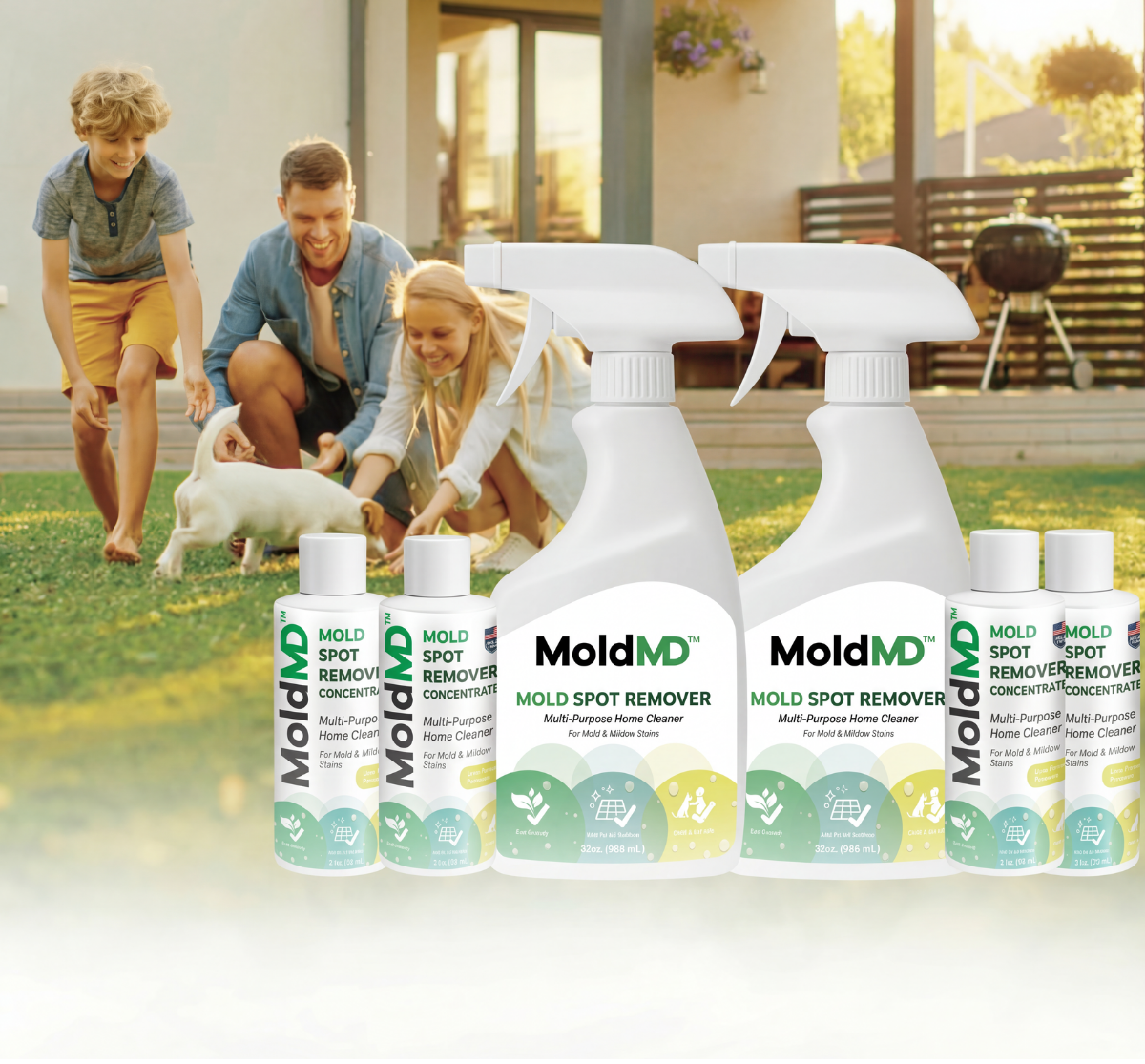 MoldMD